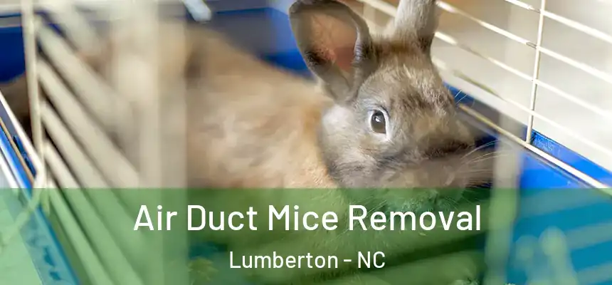 Air Duct Mice Removal Lumberton - NC