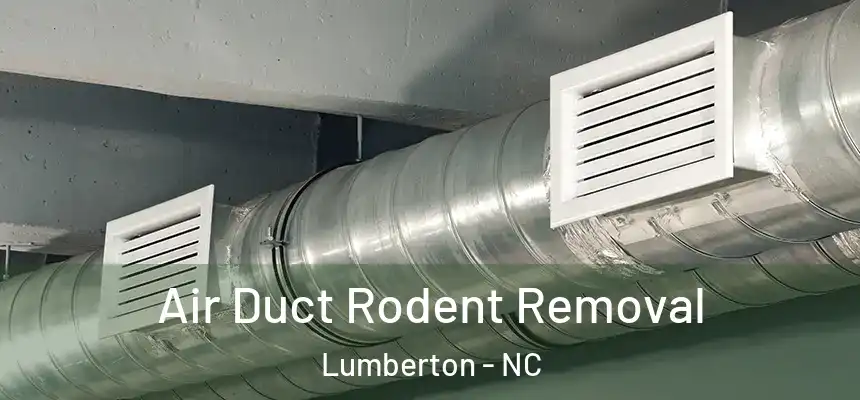 Air Duct Rodent Removal Lumberton - NC
