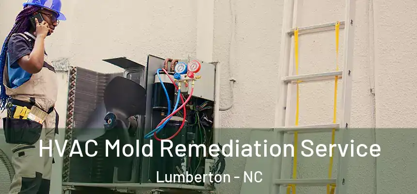 HVAC Mold Remediation Service Lumberton - NC