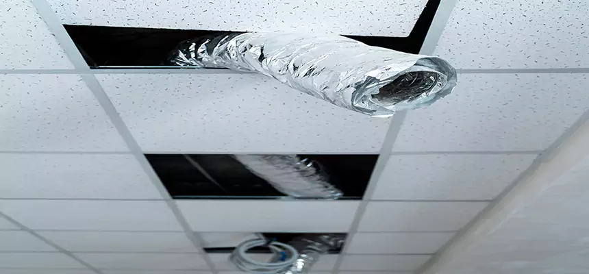 Our Air Duct Pet Hair Removal Services in Lumberton, NC