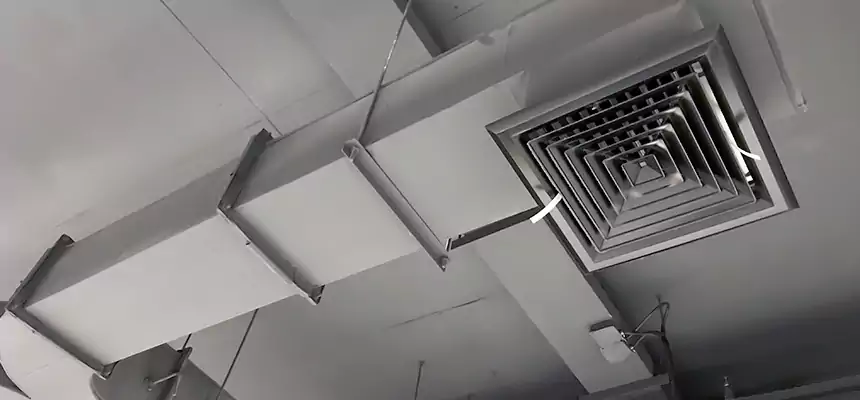 Restorative Allergy Relief Vent Cleaning – Coil, Blower & Housing Detail in Lumberton