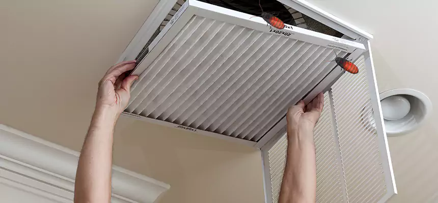 Our Insect Removal from Air Ducts Services in Lumberton, NC