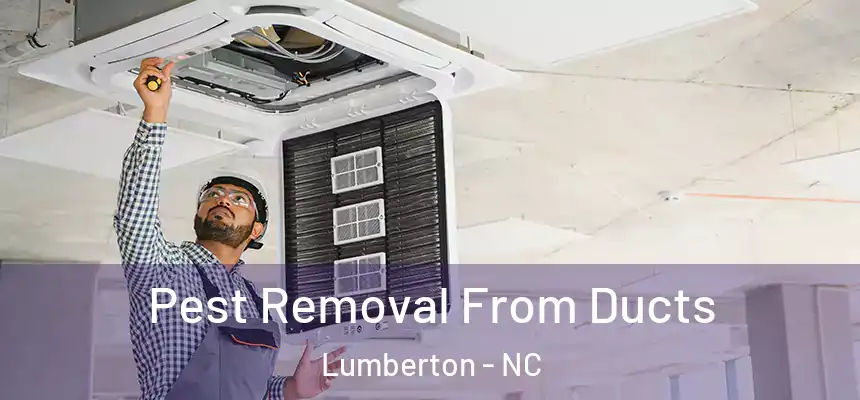  Pest Removal From Ducts Lumberton - NC