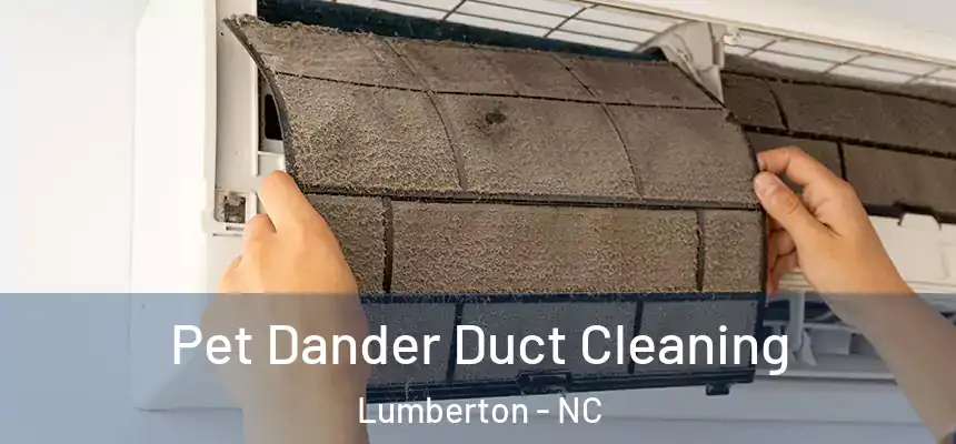  Pet Dander Duct Cleaning Lumberton - NC