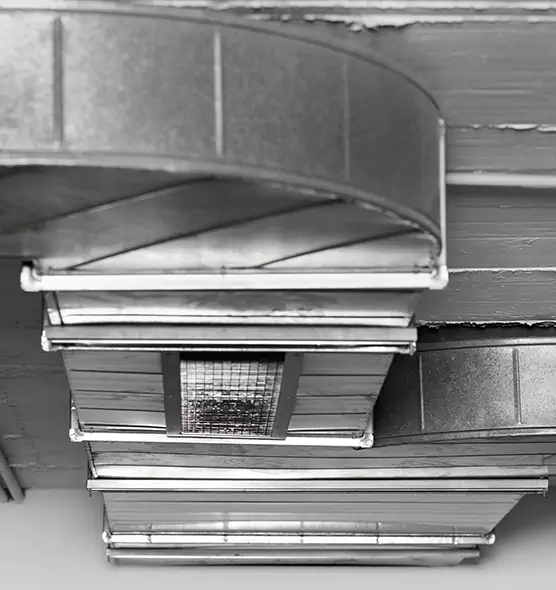 Professional Air Duct Pest Removal in Lumberton, NC