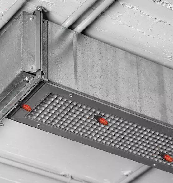 Affordable Insect Removal from Air Ducts in Lumberton, NC