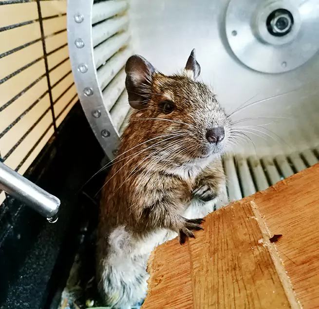 Why Homeowners & Businesses Trust Us Lumberton, NC?