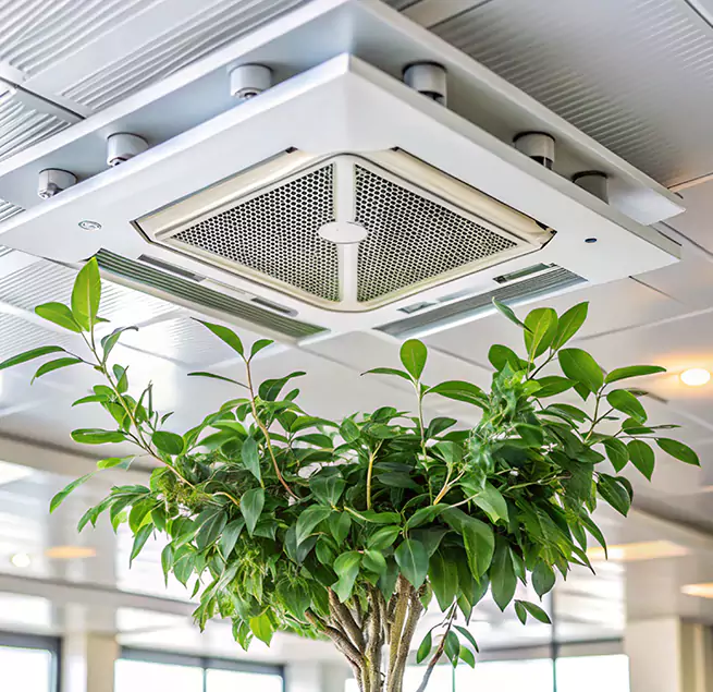 Why Homeowners & Businesses Trust Us in Lumberton, NC